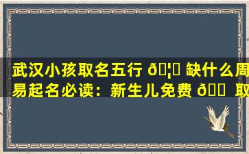 武汉小孩取名五行 🦊 缺什么周易起名必读：新生儿免费 🐠 取名有哪些注意事项